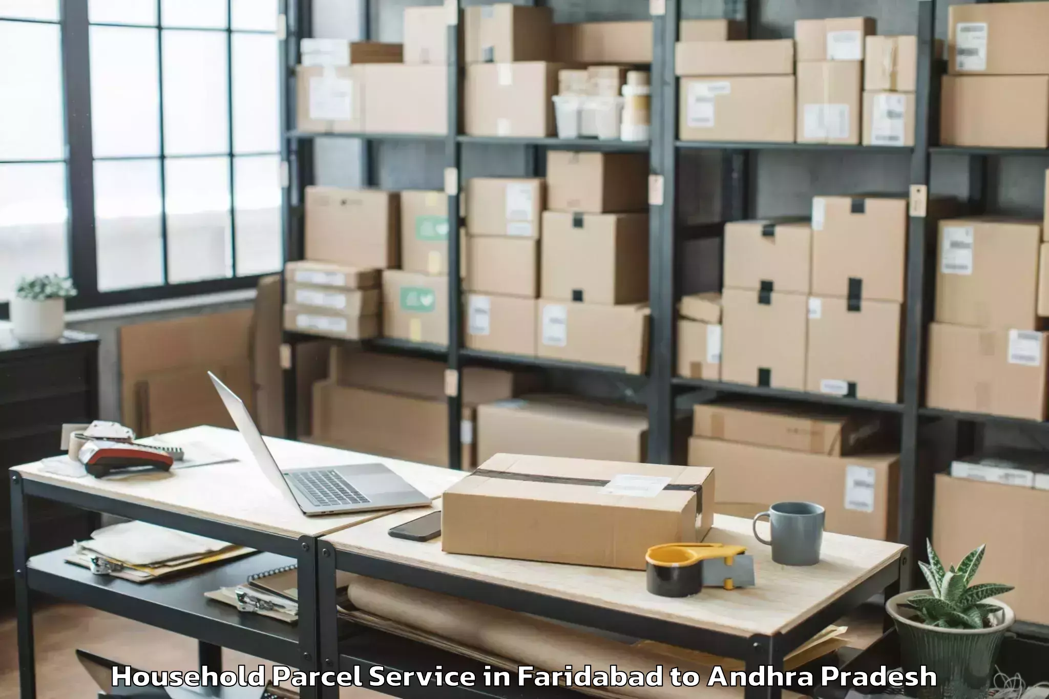 Professional Faridabad to Palakollu Household Parcel